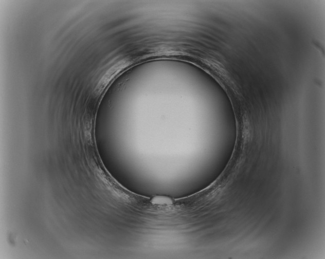 X0000100971273200807081210