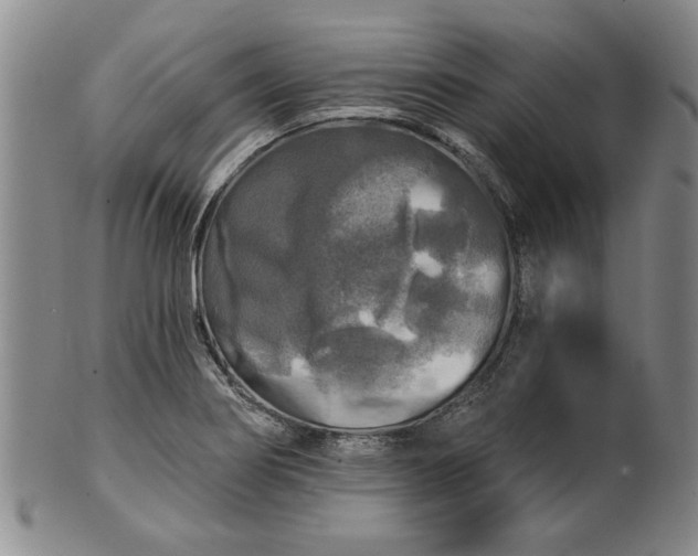 X0000100971274200807081210