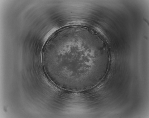 X0000100971275200807081210