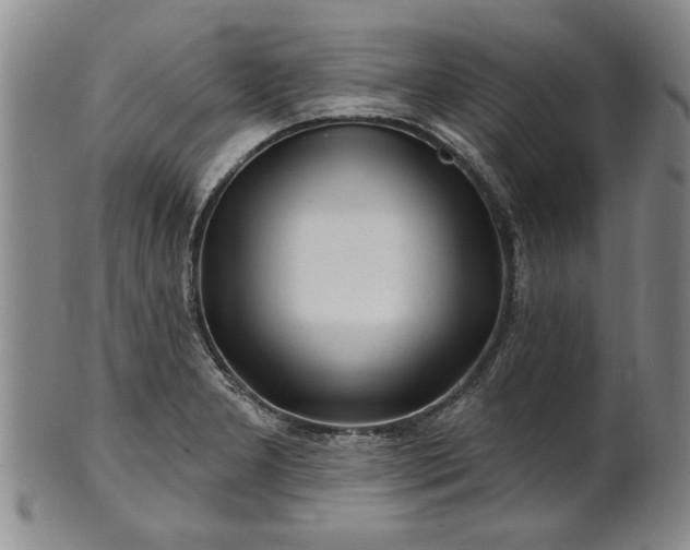X0000100971277200807081210