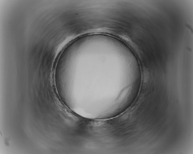X0000100971278200807081210