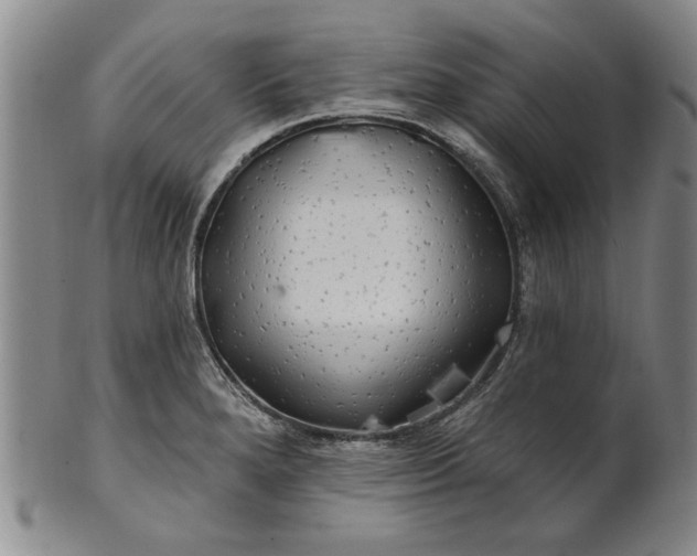 X0000100971280200807081210