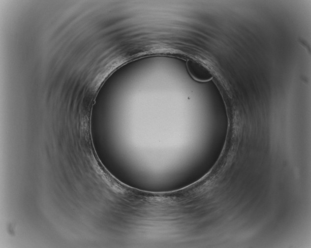 X0000100971281200807081210