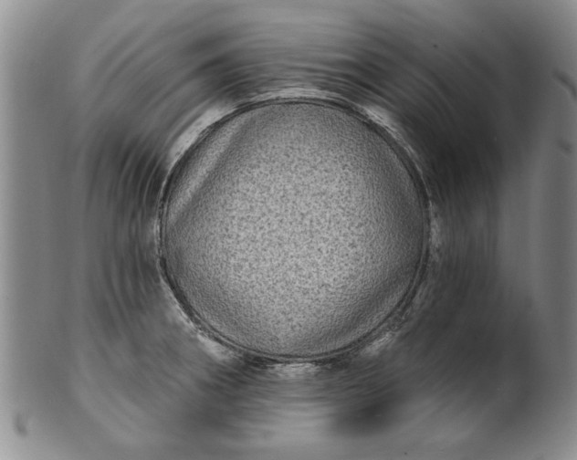 X0000100971282200807081210