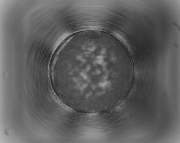 X0000100971283200807081210