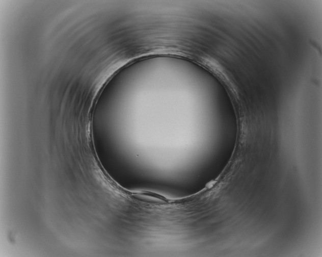 X0000100971284200807081210