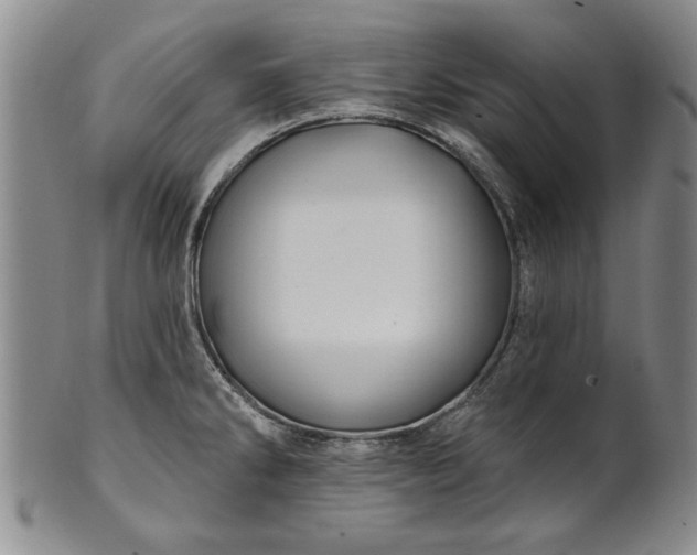 X0000100971286200807081210