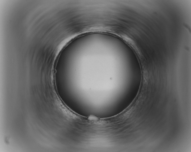 X0000100971288200807081210