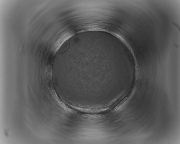 X0000100971289200807081210