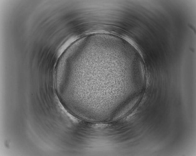 X0000100971290200807081210