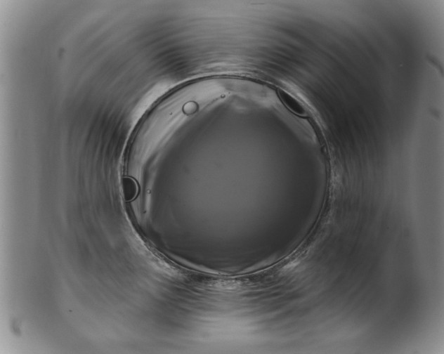 X0000100971291200807081210
