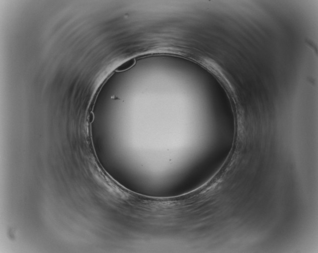 X0000100971292200807081210