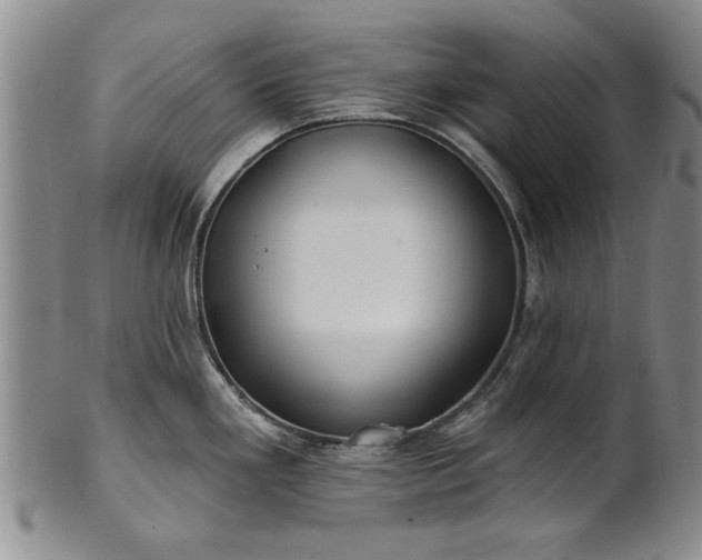 X0000100971293200807081210