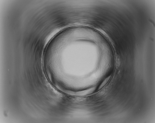 X0000100971294200807081210