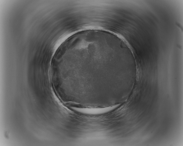 X0000100971295200807081210