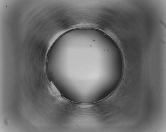 X0000100971296200807081210