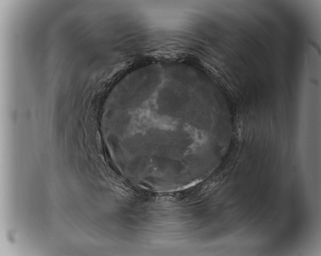 X0000100971297200807081209