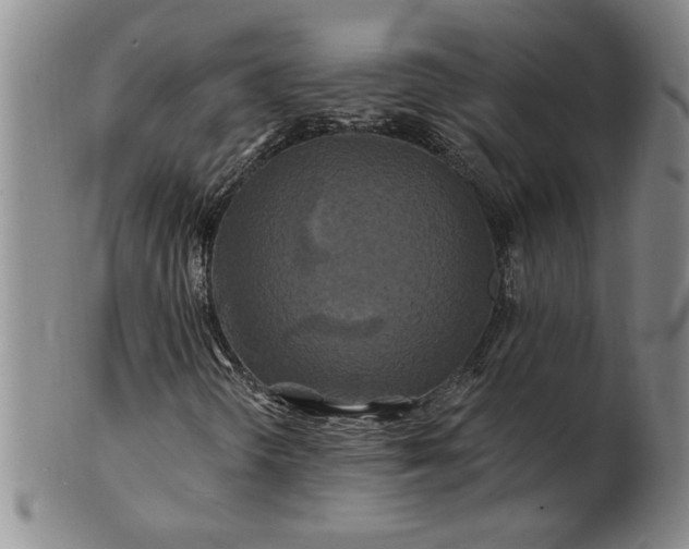 X0000100971298200807081209