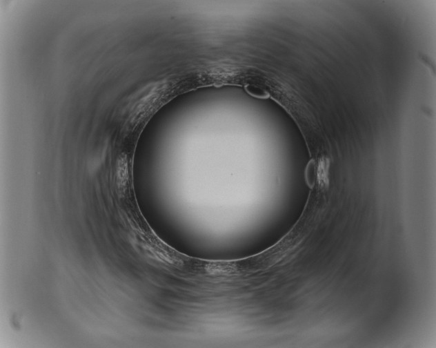 X0000100971299200807081209