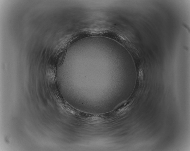 X0000100971300200807081209