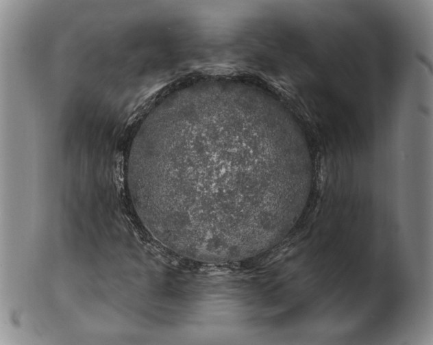 X0000100971301200807081209