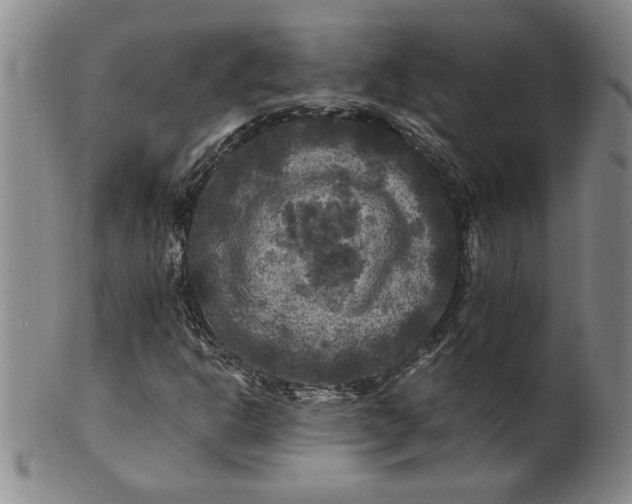 X0000100971302200807081209