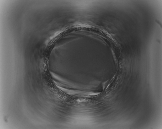 X0000100971303200807081209
