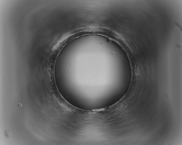 X0000100971304200807081209