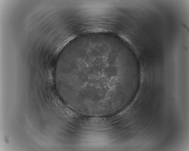 X0000100971305200807081209