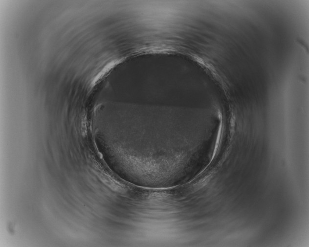X0000100971306200807081209