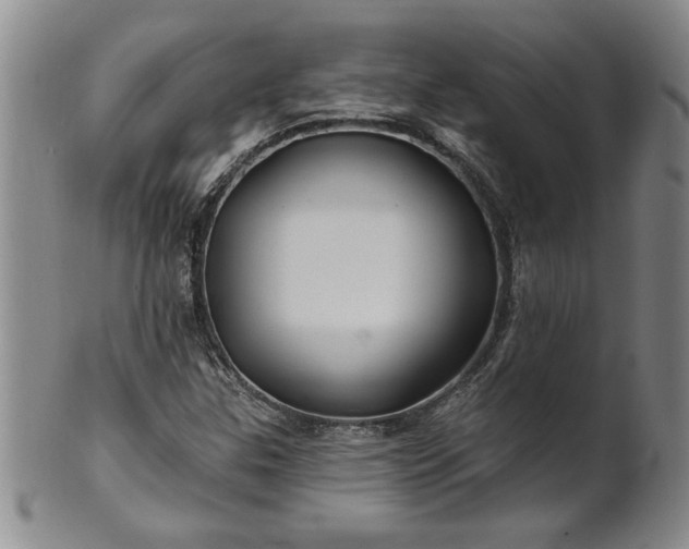 X0000100971307200807081209