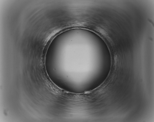 X0000100971308200807081209