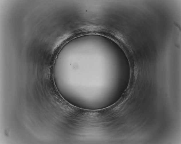 X0000100971309200807081209
