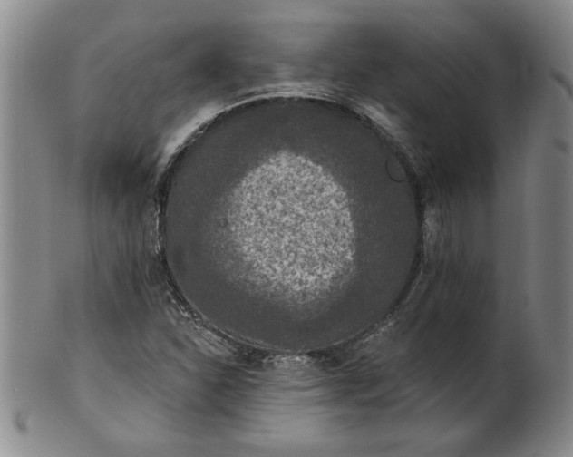 X0000100971310200807081209