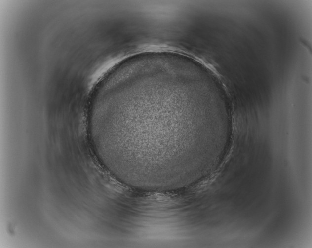 X0000100971311200807081209