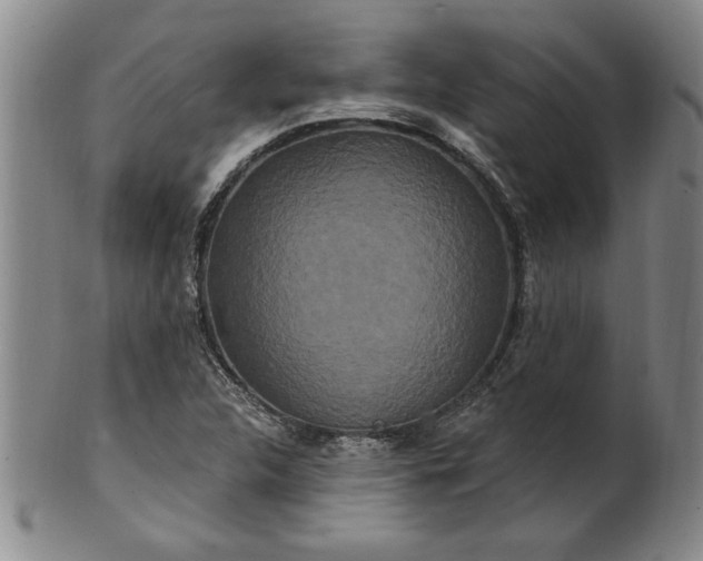X0000100971312200807081209