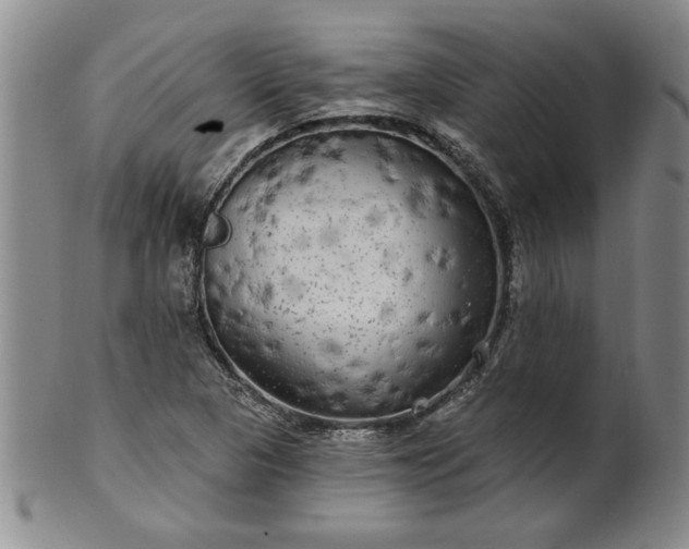 X0000100971313200807081209