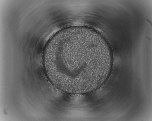 X0000100971314200807081209