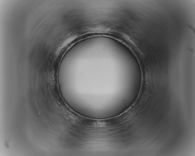X0000100971315200807081209