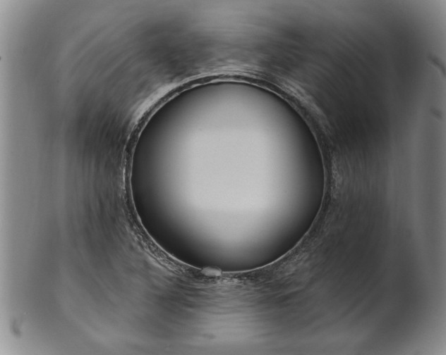 X0000100971316200807081209