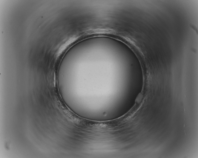 X0000100971317200807081210