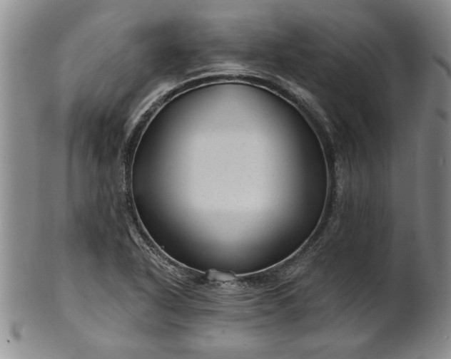 X0000100971318200807081210