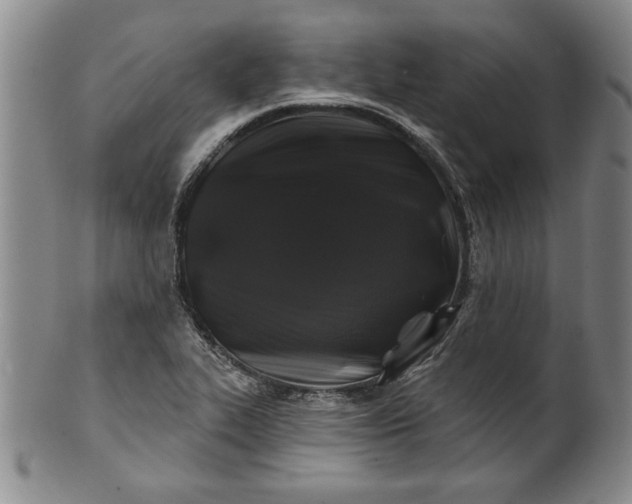 X0000100971319200807081210