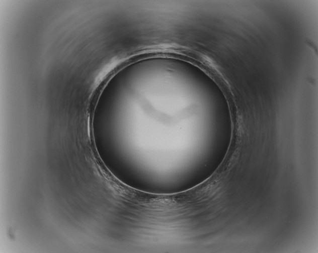 X0000100971320200807081210