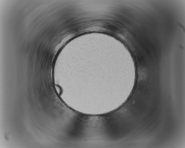 X0000100971322200807081210
