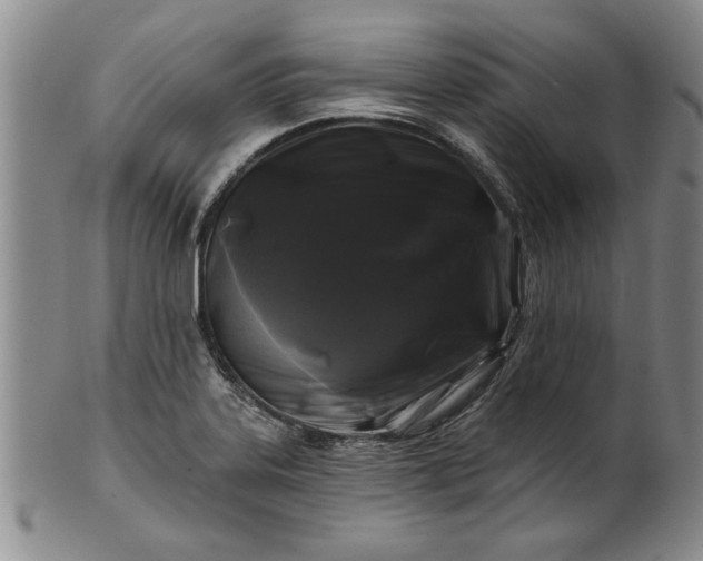 X0000100971323200807081210