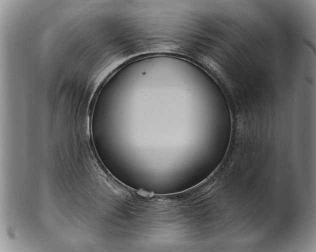 X0000100971324200807081210