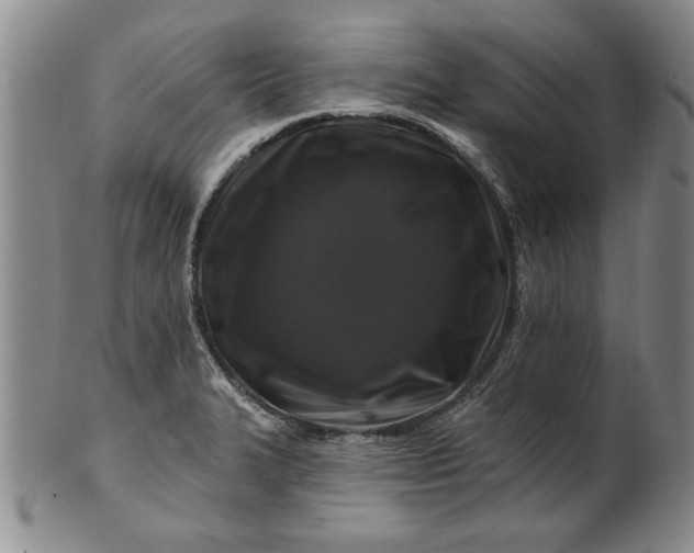 X0000100971327200807081210