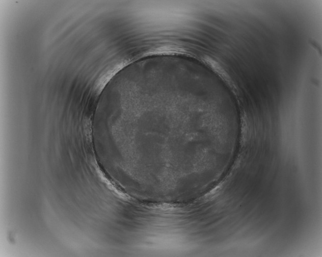 X0000100971329200807081210