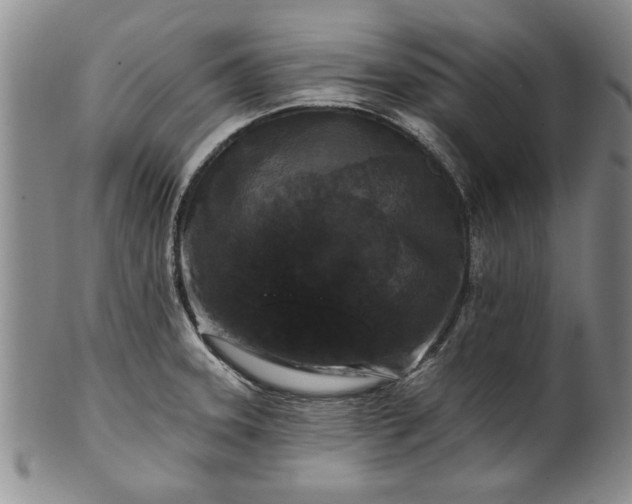 X0000100971331200807081210